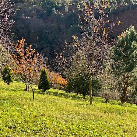 לוארקה Finca Portizuelo מראה חיצוני תמונה