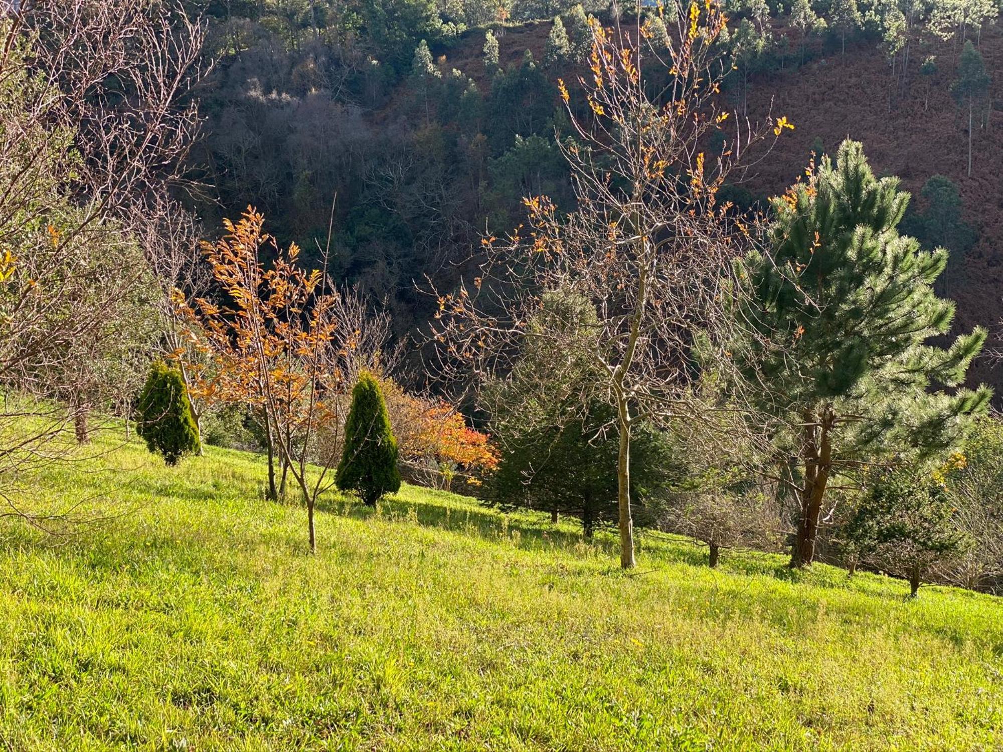 לוארקה Finca Portizuelo מראה חיצוני תמונה