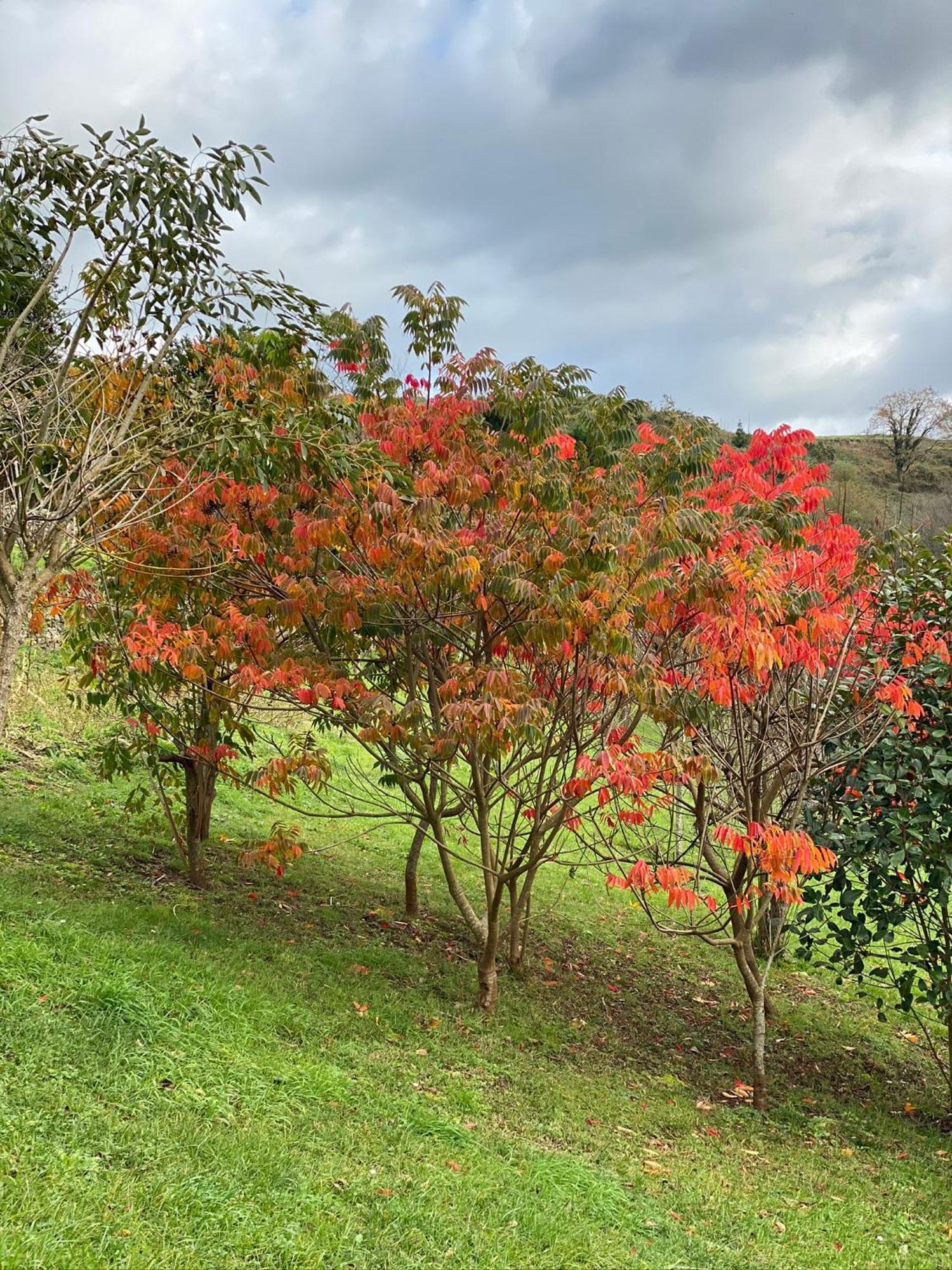 לוארקה Finca Portizuelo מראה חיצוני תמונה
