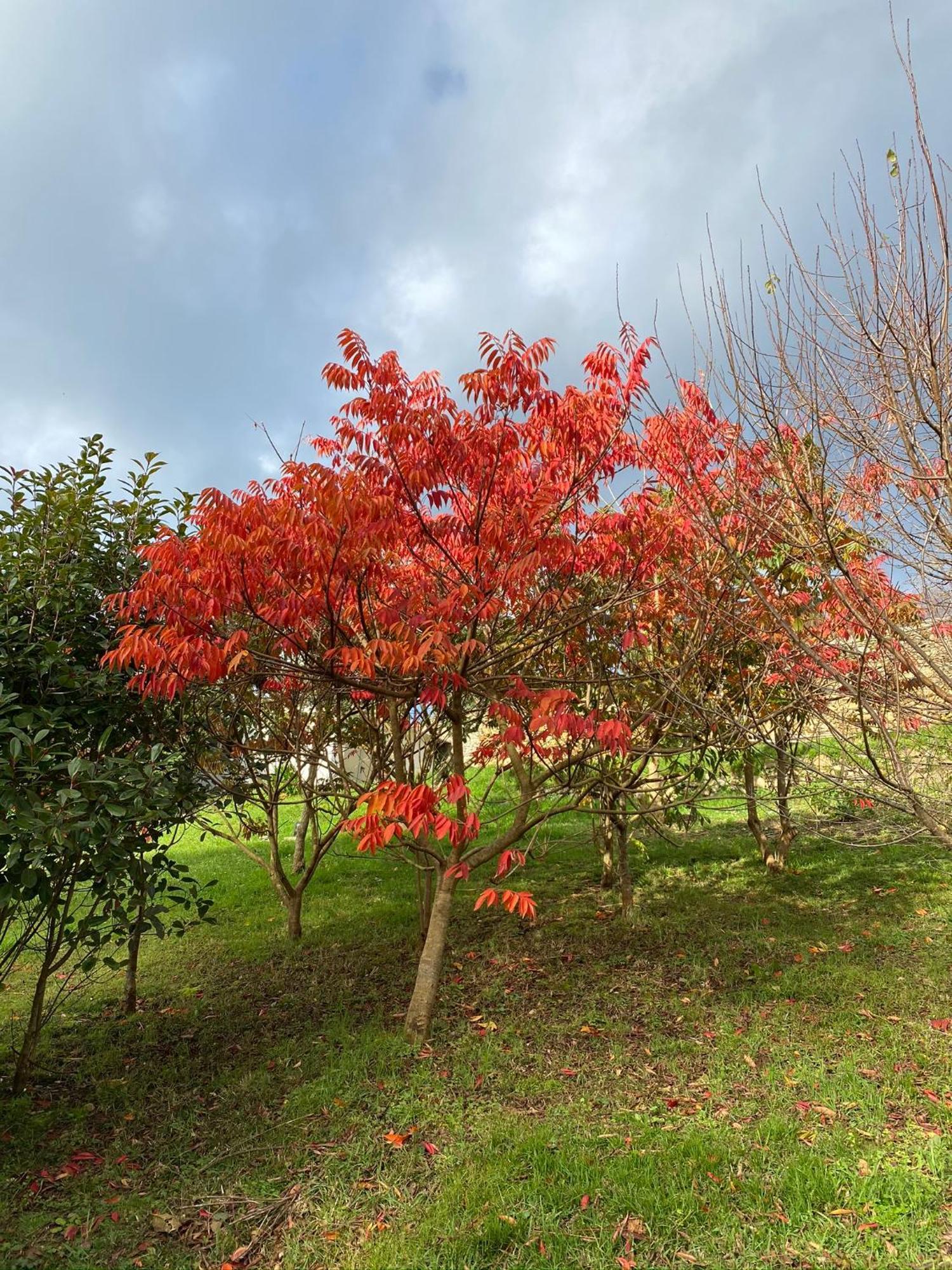 לוארקה Finca Portizuelo מראה חיצוני תמונה