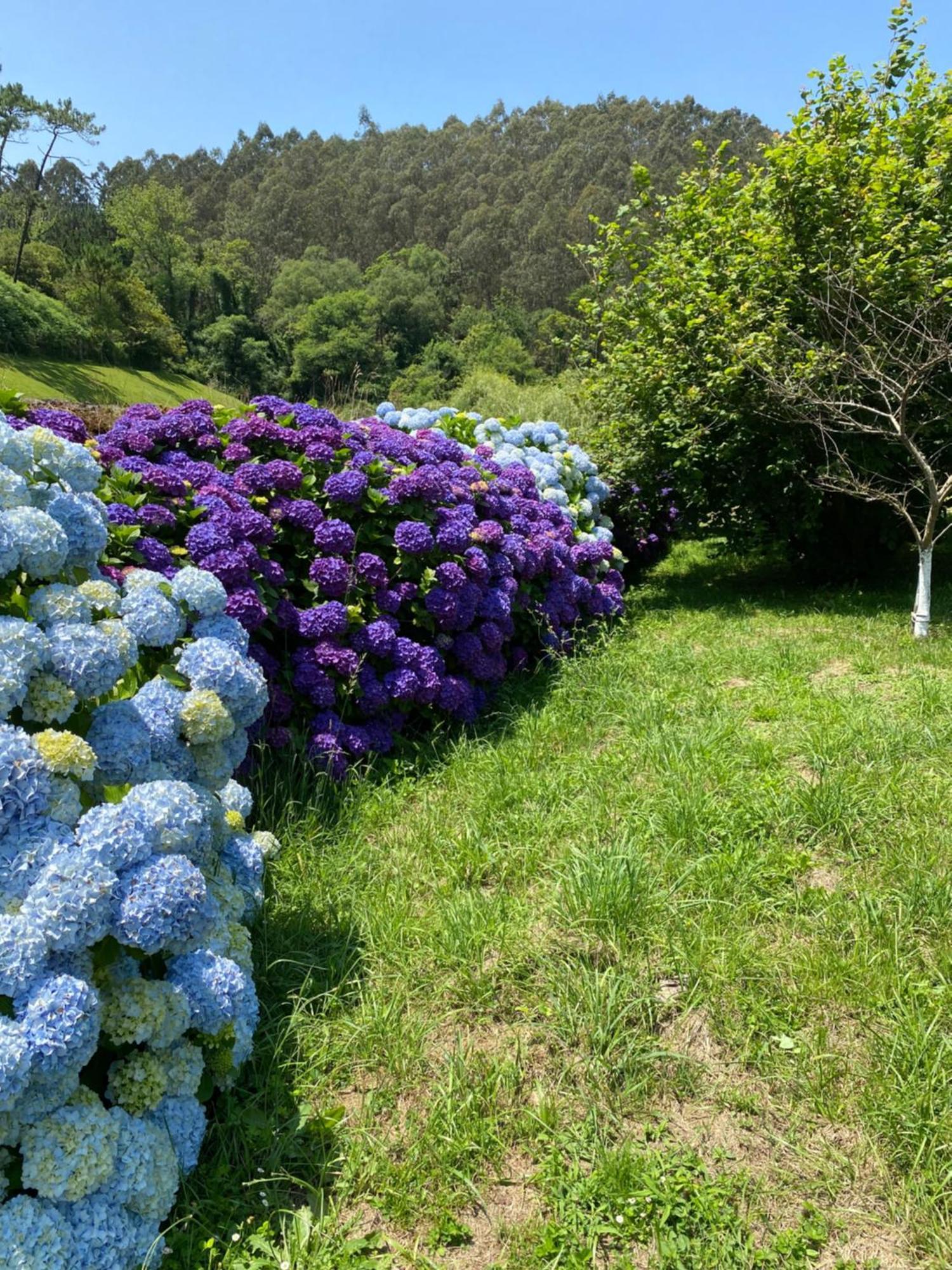 לוארקה Finca Portizuelo מראה חיצוני תמונה