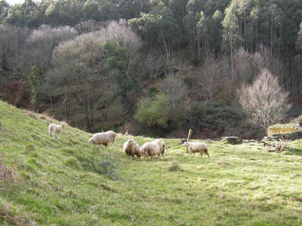 לוארקה Finca Portizuelo מראה חיצוני תמונה