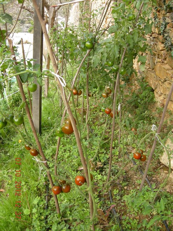 לוארקה Finca Portizuelo מראה חיצוני תמונה
