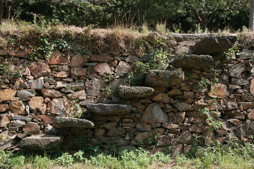 לוארקה Finca Portizuelo מראה חיצוני תמונה